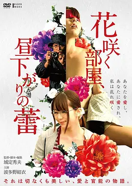 555电影雾港十七日海报
